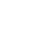 Custom ML Solutions & Consulting